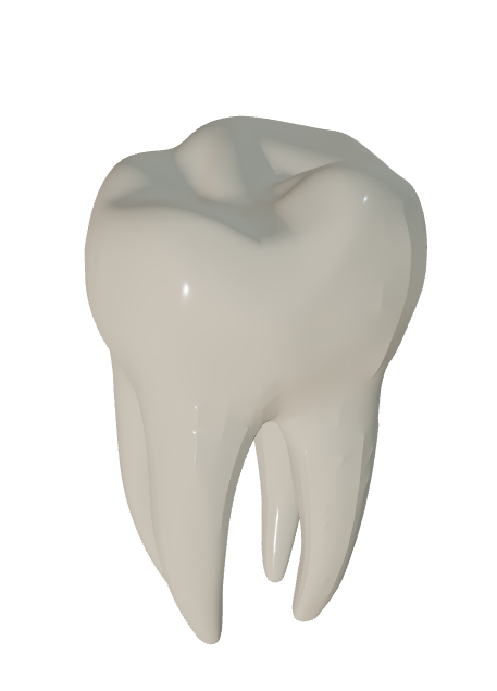 3D tooth preview